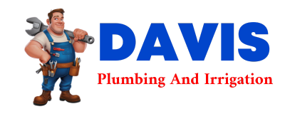 Trusted plumber in MINEVILLE